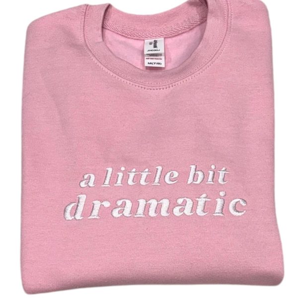 A little bit dramatic embroidered slogan sweatshirt.