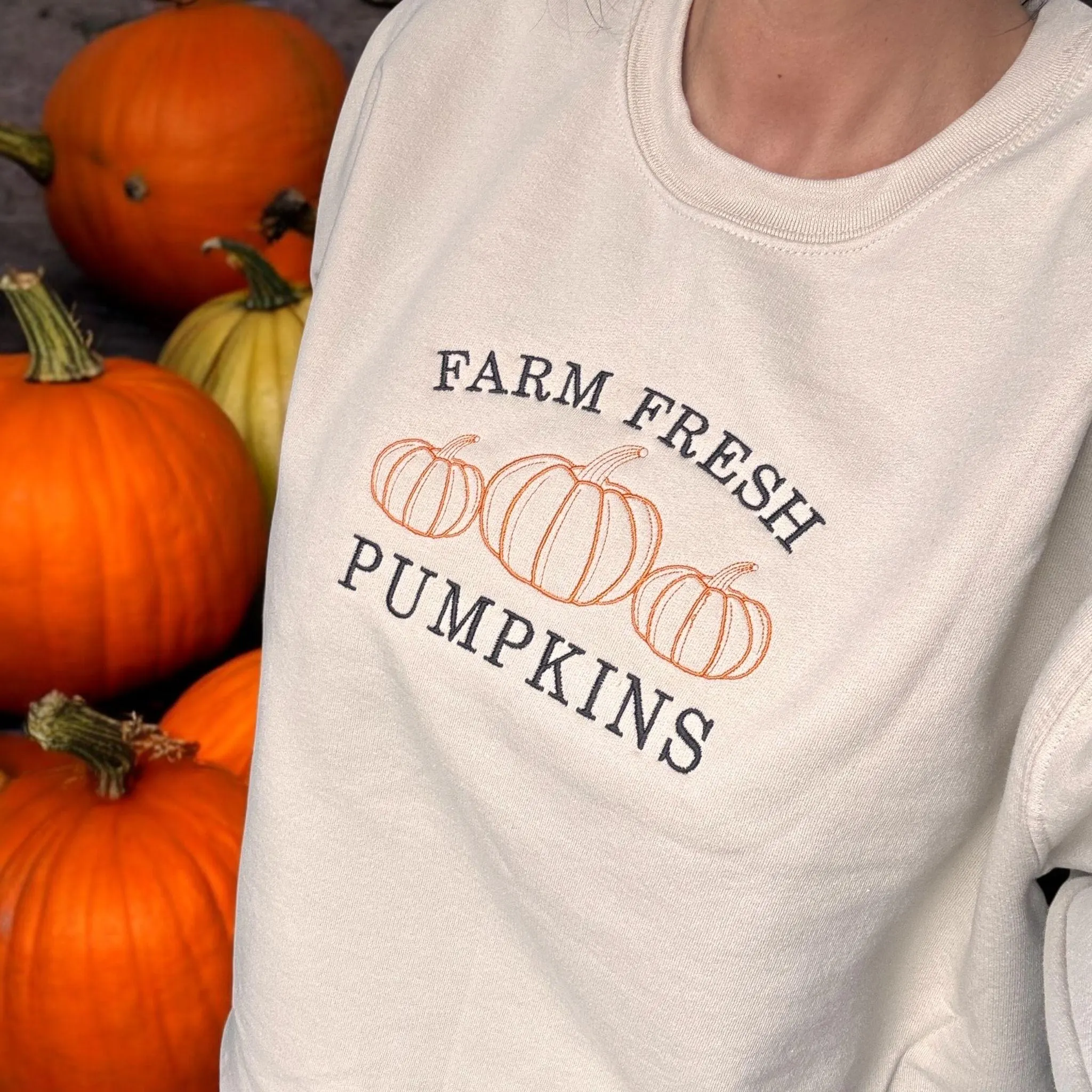 Pumpkin Patch Farm Fresh Pumpkins Embroidered Sweatshirt Or Hoodie. - Image 5