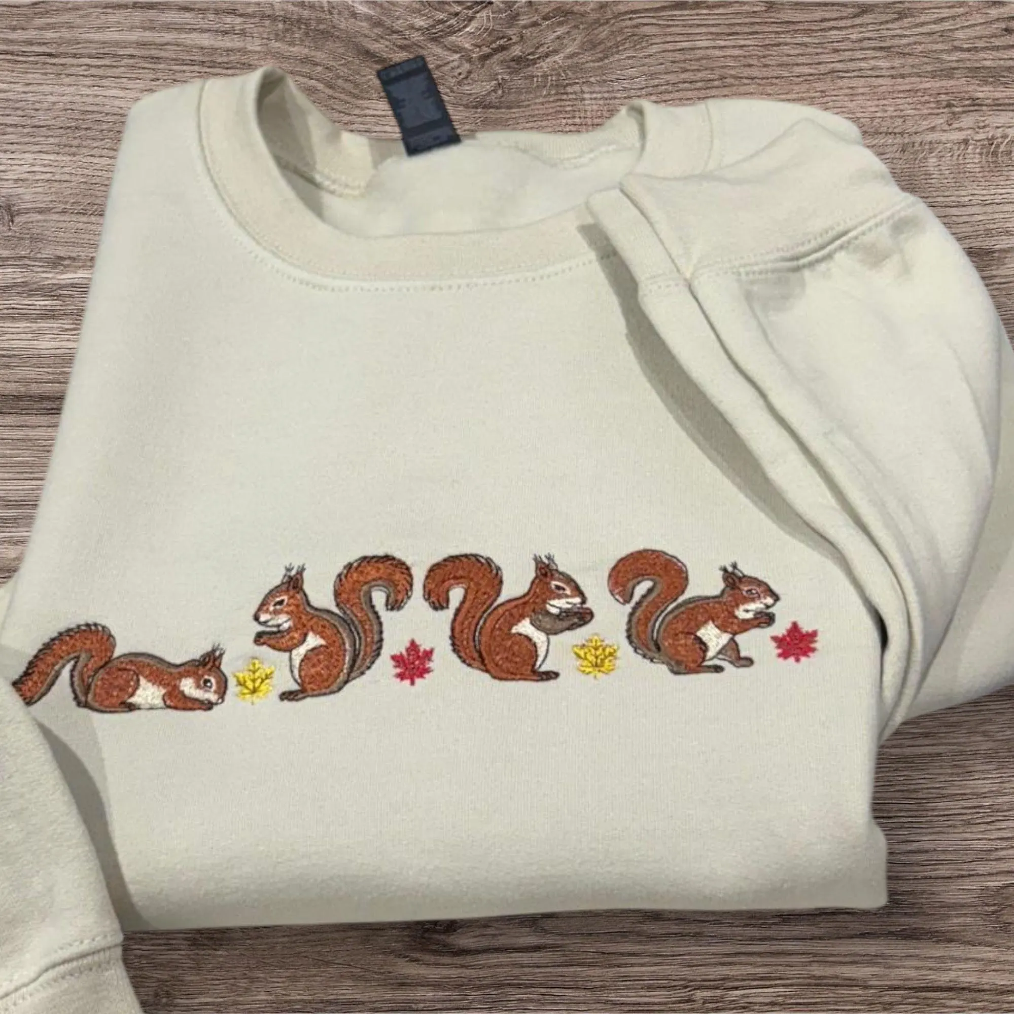 Autumn/fall Squirrel Embroidered Sweatshirt or hoodie.