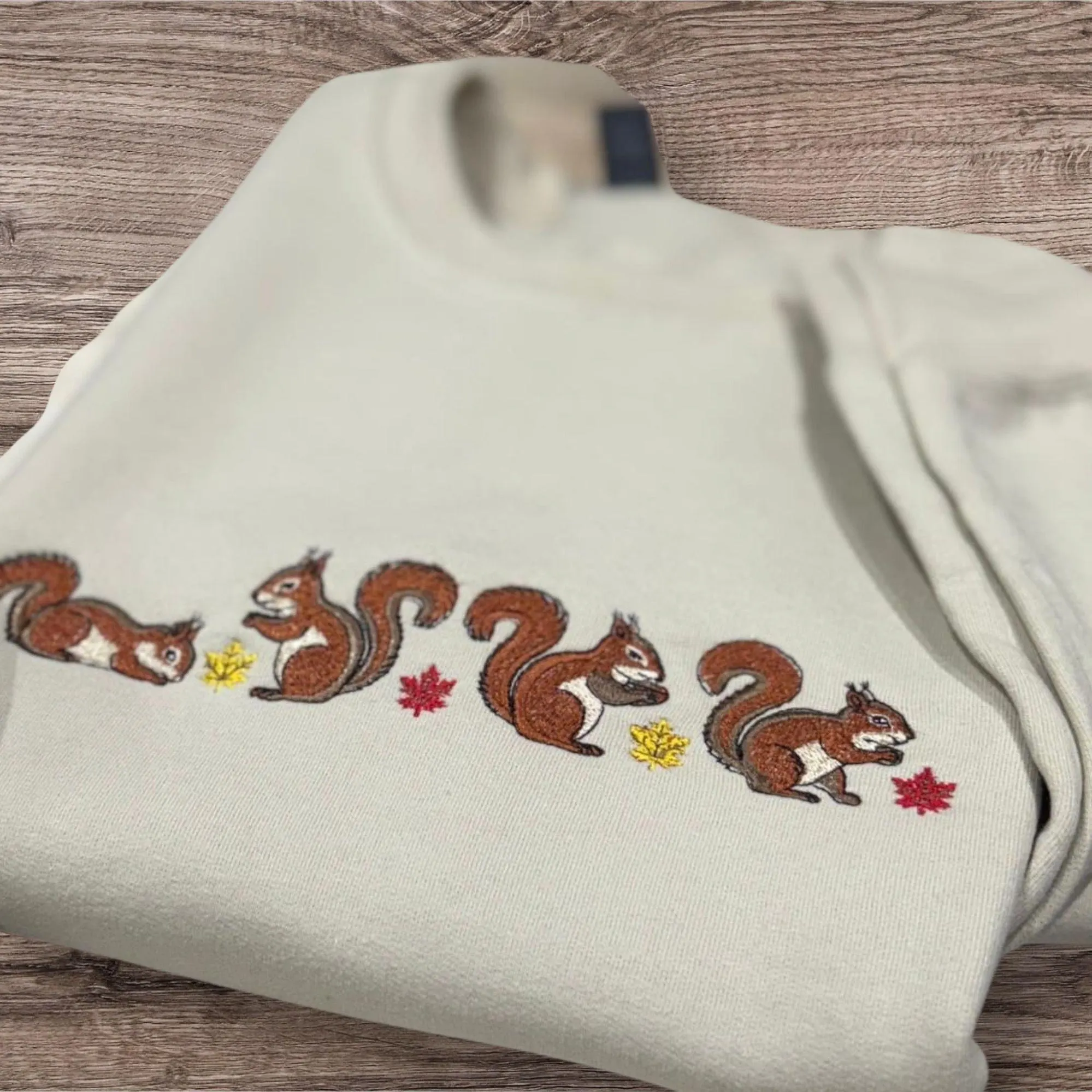 Autumn/fall Squirrel Embroidered Sweatshirt or hoodie. - Image 3