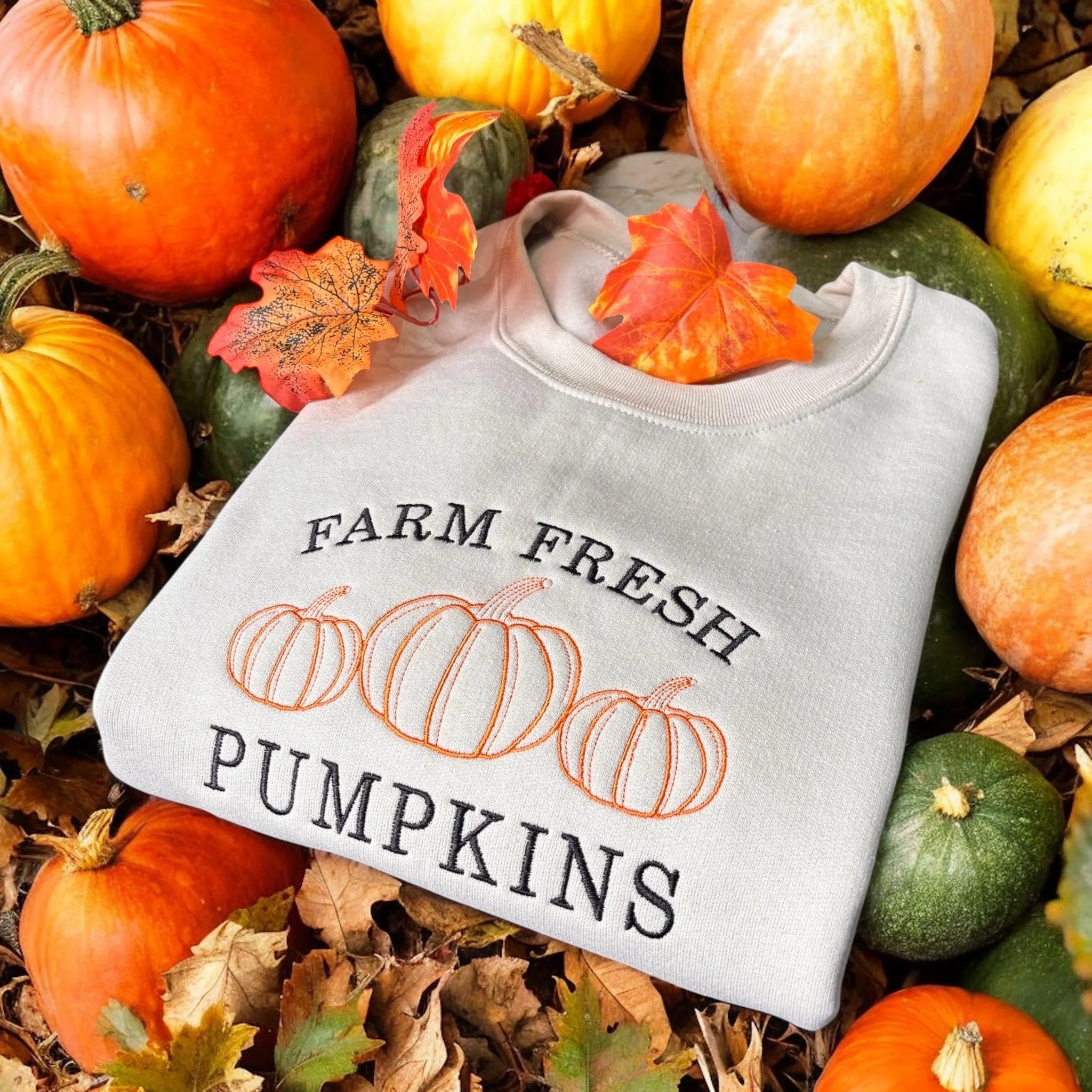 Pumpkin Patch Farm Fresh Pumpkins Embroidered Sweatshirt Or Hoodie. - Image 2